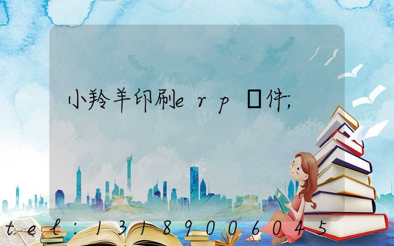 小羚羊印刷erp軟件