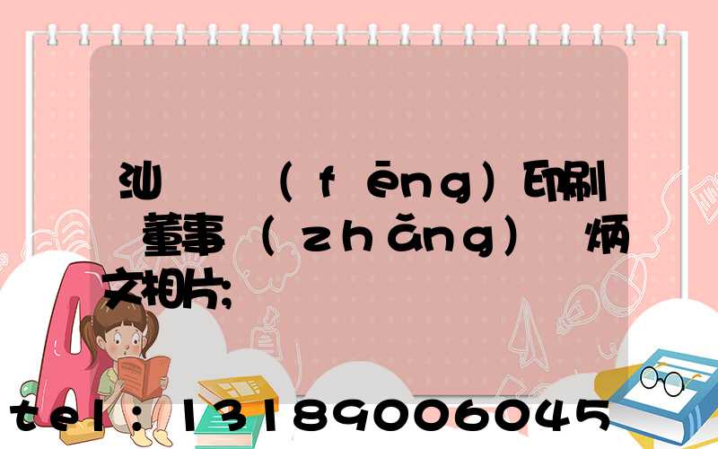 汕頭東風(fēng)印刷廠董事長(zhǎng)黃炳文相片